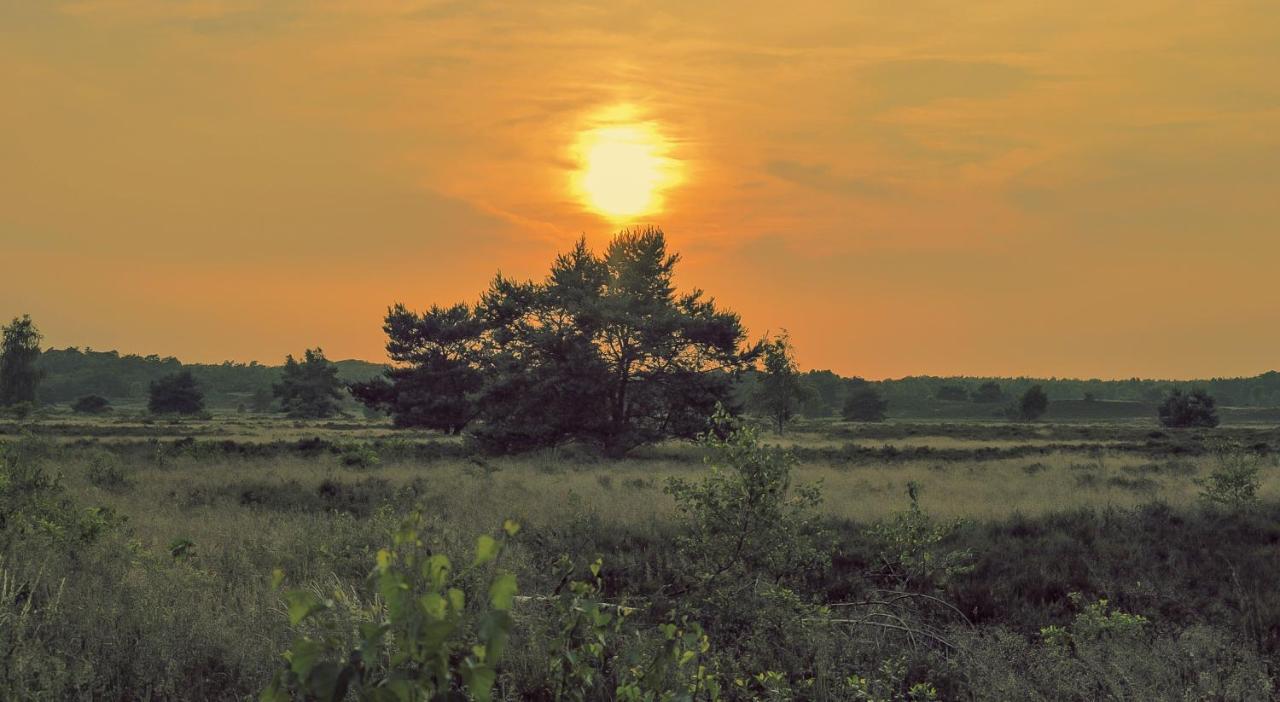 Lodge Koolmees Nunspeet Veluwe Esterno foto